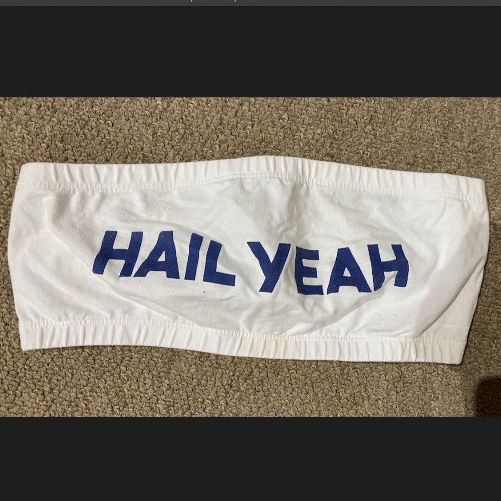 University of Michigan Bandeau